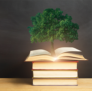 knowledge-insight