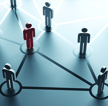 Networking and Collaboration